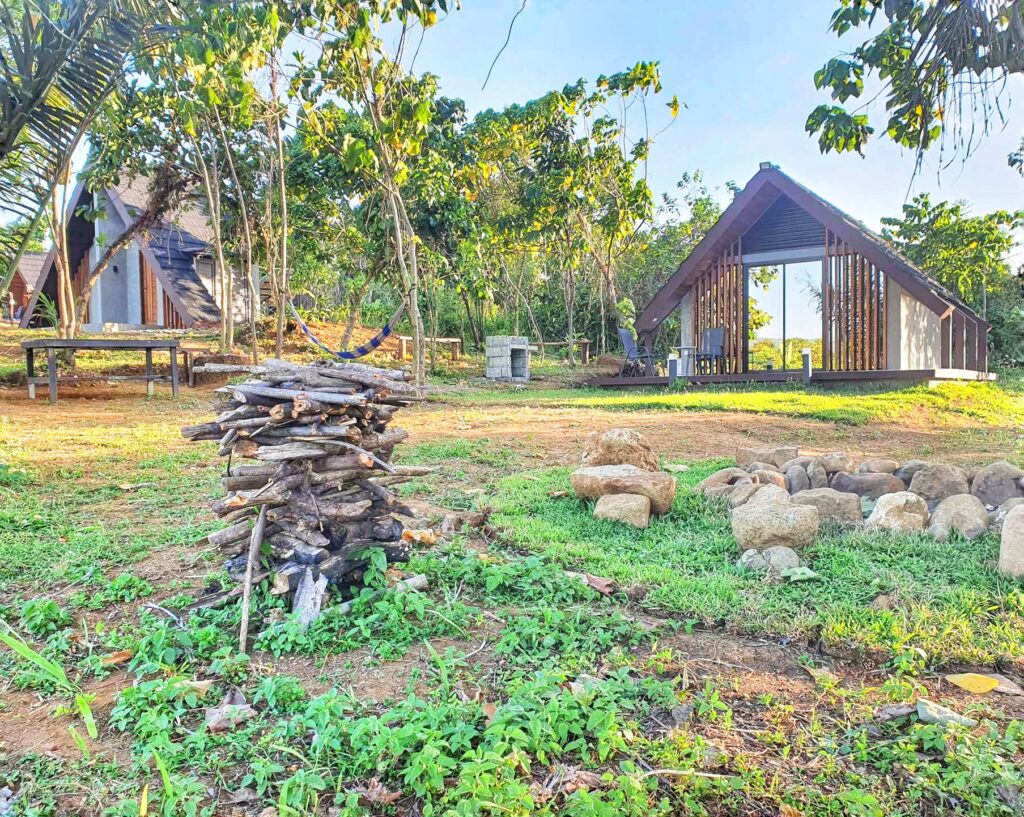 received 229392850083996 01